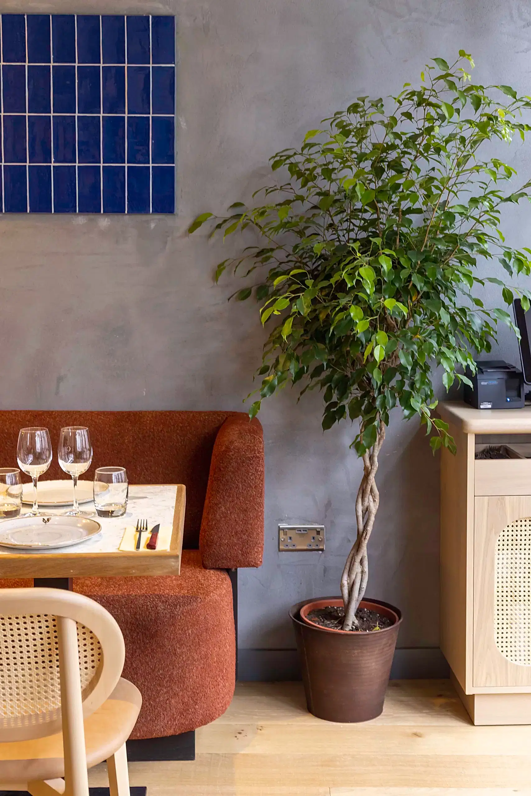 Interior shot of Cocotte South Kensington